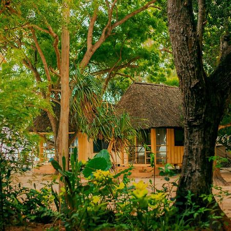 Mikadi Beach Camp & Backpackers Dar es Salaam Exterior foto